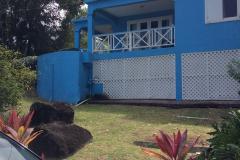1blue_house